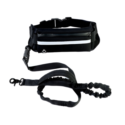 Ceinture mains libres avec poche pour chien
