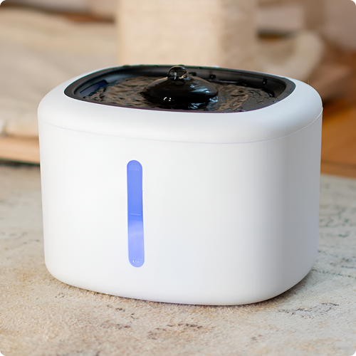 Distributeur d’eau intelligent 2 L (fontaine)