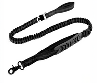 Laisse amortisseur (anti-tirage)