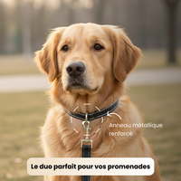 Collier réfléchissant + laisse assortie pour chien