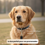 Collier réfléchissant + laisse assortie pour chien