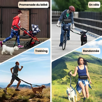 Ceinture mains libres avec poche pour chien