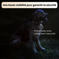 Collier réfléchissant + laisse assortie pour chien