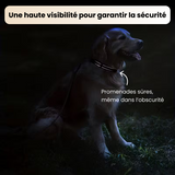 Collier réfléchissant + laisse assortie pour chien