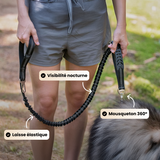 Laisse amortisseur (anti-tirage)