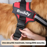 Harnais anti-traction réfléchissant personnalisable