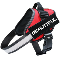 Harnais anti-traction réfléchissant personnalisable