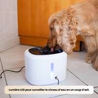 Distributeur d’eau intelligent 2 L (fontaine)