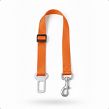 Ceinture d’attache voiture pour chien