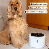 Distributeur d’eau intelligent 2 L (fontaine)