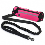 Ceinture mains libres avec poche pour chien