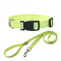 Collier réfléchissant + laisse assortie pour chien