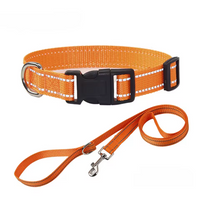 Collier réfléchissant + laisse assortie pour chien