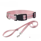 Collier réfléchissant + laisse assortie pour chien