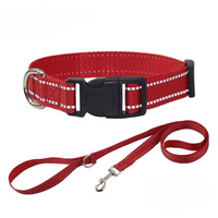Collier réfléchissant + laisse assortie pour chien