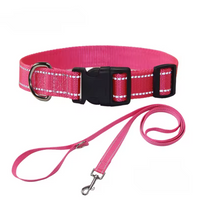 Collier réfléchissant + laisse assortie pour chien
