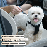 Ceinture d’attache voiture pour chien