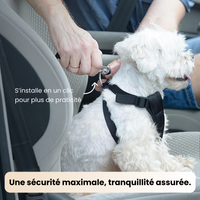 Ceinture d’attache voiture pour chien